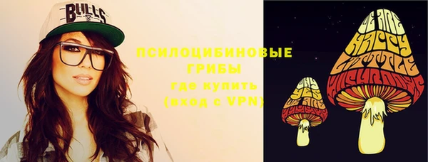 прущий лед Абаза