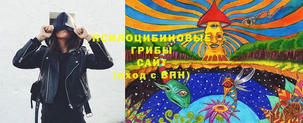 прущий лед Абаза