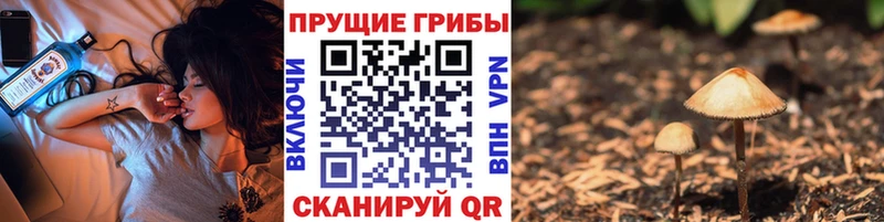 Галлюциногенные грибы Magic Shrooms  цена   Магнитогорск 